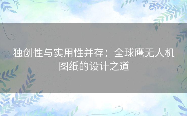 独创性与实用性并存：全球鹰无人机图纸的设计之道