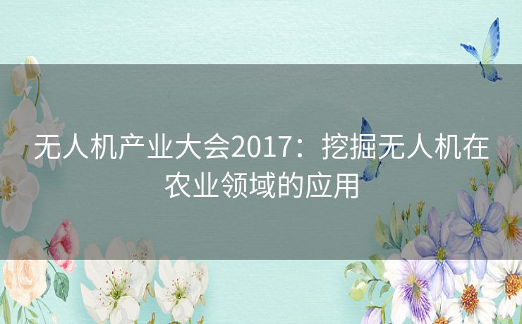 无人机产业大会2017：挖掘无人机在农业领域的应用