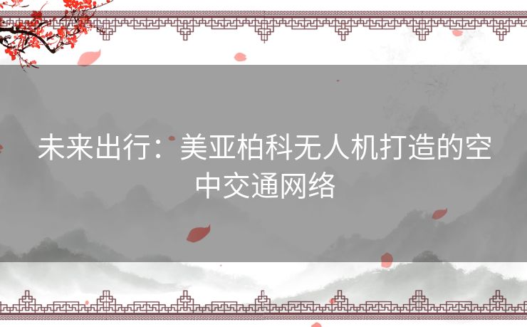 未来出行：美亚柏科无人机打造的空中交通网络