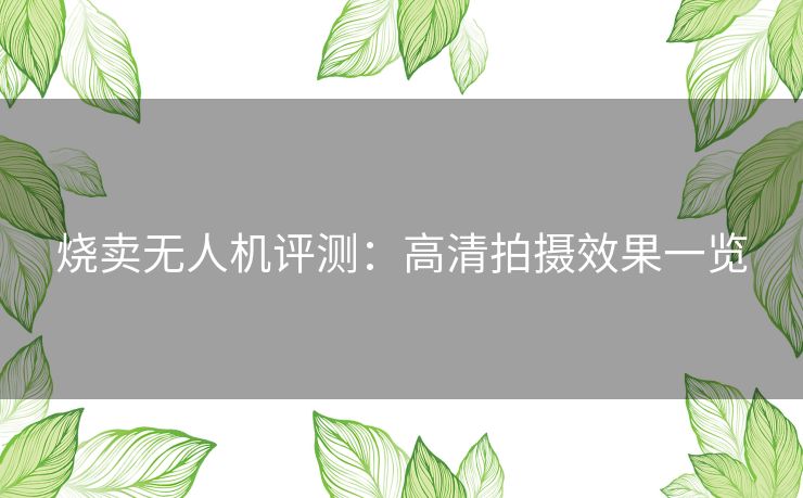 烧卖无人机评测：高清拍摄效果一览