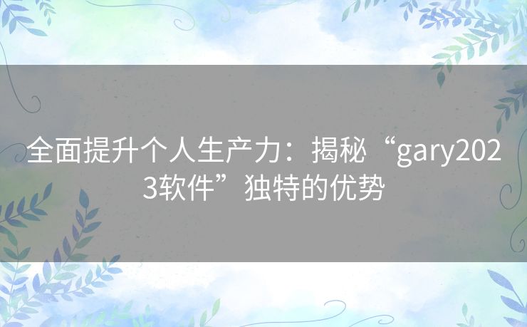 全面提升个人生产力：揭秘“gary2023软件”独特的优势