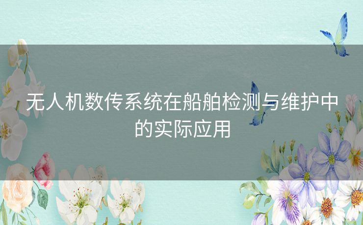 无人机数传系统在船舶检测与维护中的实际应用