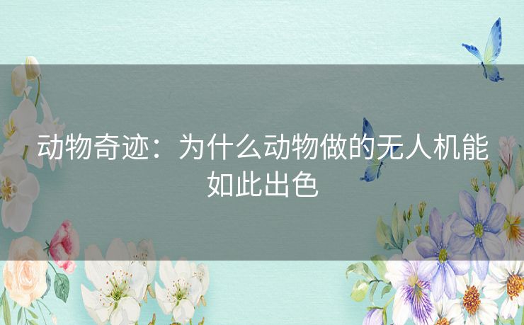 动物奇迹：为什么动物做的无人机能如此出色