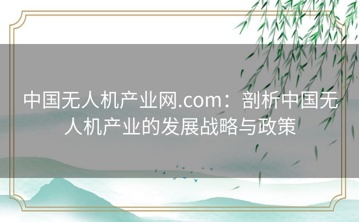 中国无人机产业网.com：剖析中国无人机产业的发展战略与政策