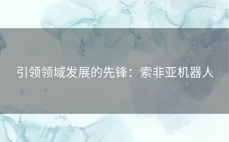 引领领域发展的先锋：索非亚机器人