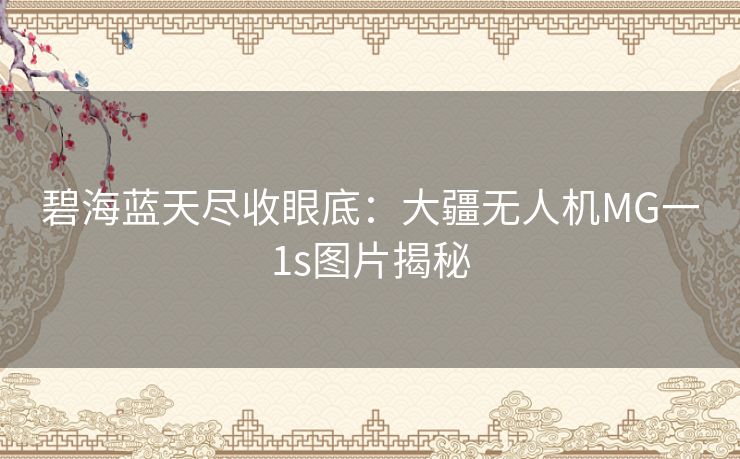 碧海蓝天尽收眼底：大疆无人机MG一1s图片揭秘