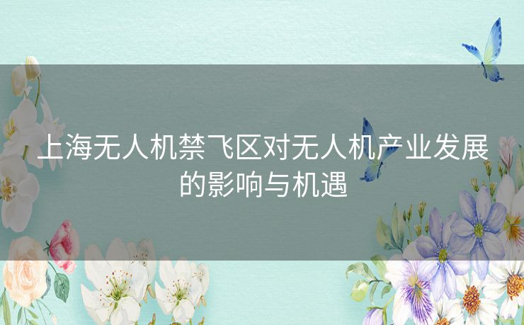 上海无人机禁飞区对无人机产业发展的影响与机遇