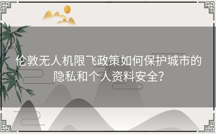 伦敦无人机限飞政策如何保护城市的隐私和个人资料安全？