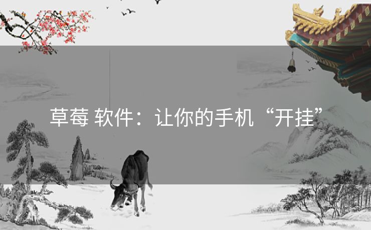 草莓 软件：让你的手机“开挂”