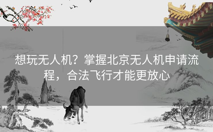 想玩无人机？掌握北京无人机申请流程，合法飞行才能更放心