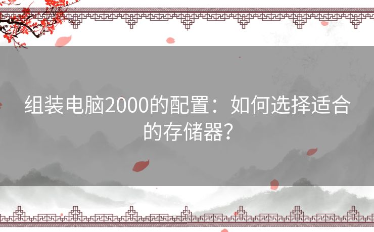 组装电脑2000的配置：如何选择适合的存储器？