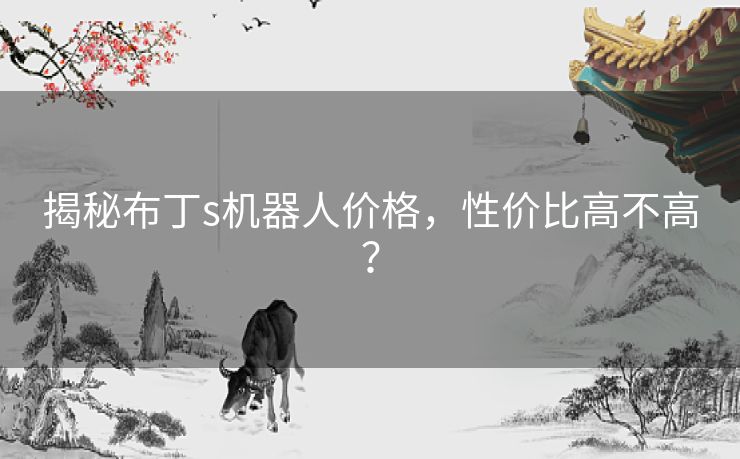 揭秘布丁s机器人价格，性价比高不高？