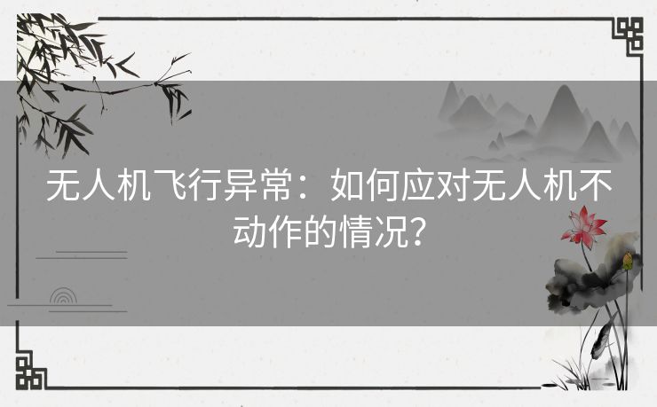 无人机飞行异常：如何应对无人机不动作的情况？