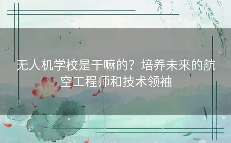 无人机学校是干嘛的？培养未来的航空工程师和技术领袖