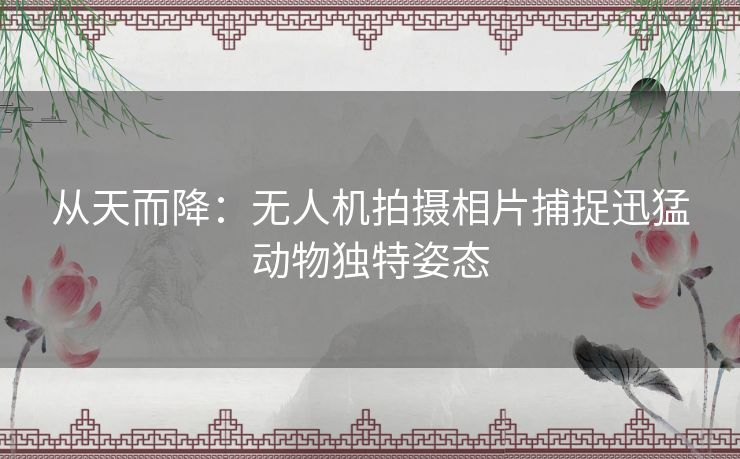 从天而降：无人机拍摄相片捕捉迅猛动物独特姿态