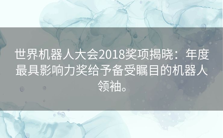 世界机器人大会2018奖项揭晓：年度最具影响力奖给予备受瞩目的机器人领袖。