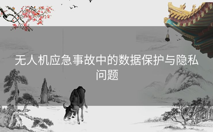 无人机应急事故中的数据保护与隐私问题