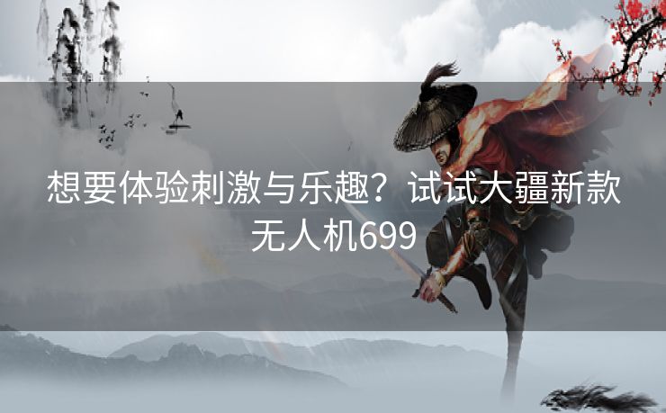 想要体验刺激与乐趣？试试大疆新款无人机699