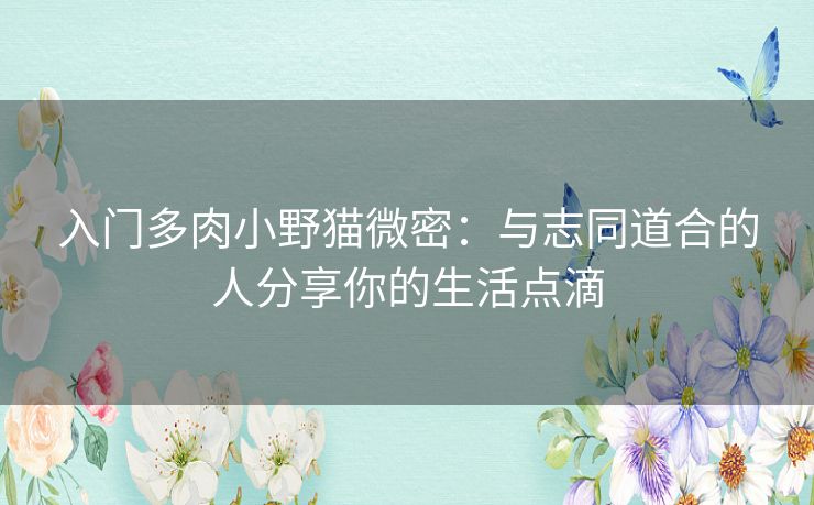 入门多肉小野猫微密：与志同道合的人分享你的生活点滴