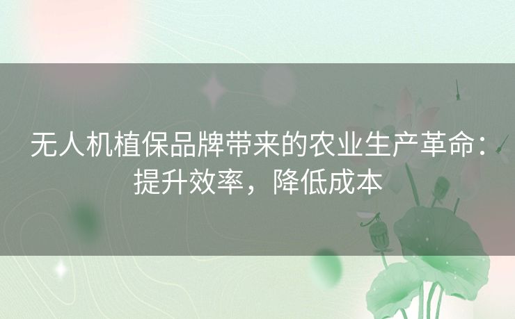 无人机植保品牌带来的农业生产革命：提升效率，降低成本