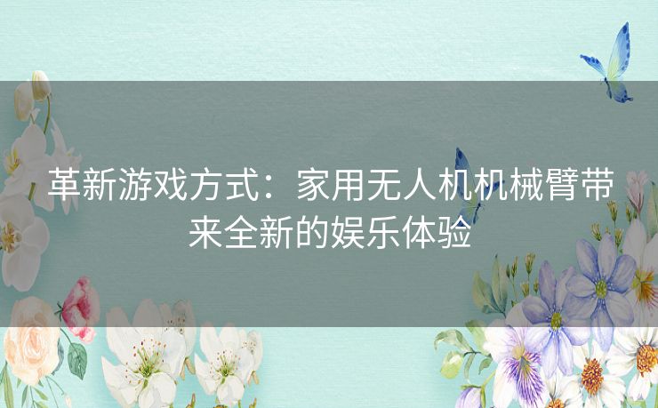 革新游戏方式：家用无人机机械臂带来全新的娱乐体验