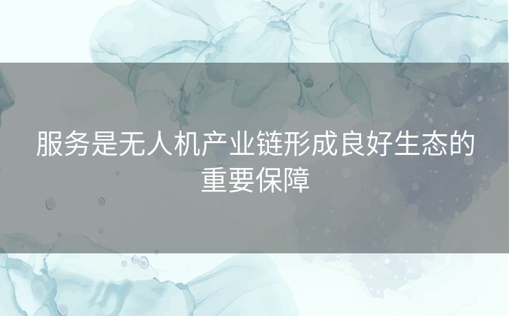 服务是无人机产业链形成良好生态的重要保障