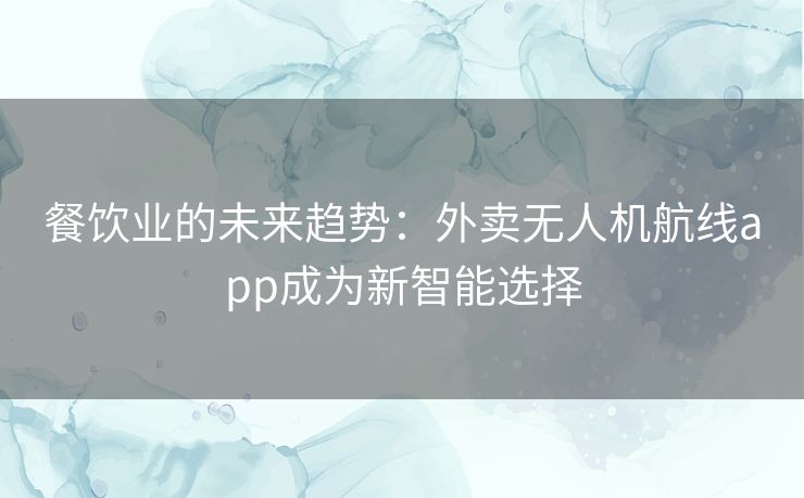 餐饮业的未来趋势：外卖无人机航线app成为新智能选择