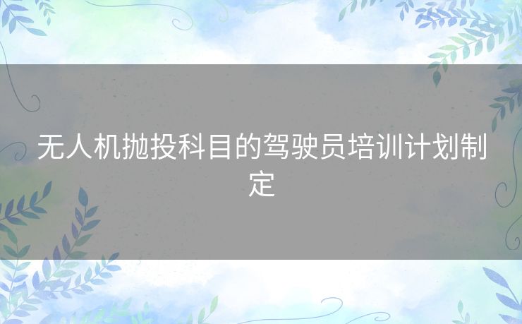 无人机抛投科目的驾驶员培训计划制定