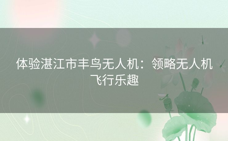 体验湛江市丰鸟无人机：领略无人机飞行乐趣