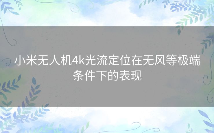 小米无人机4k光流定位在无风等极端条件下的表现