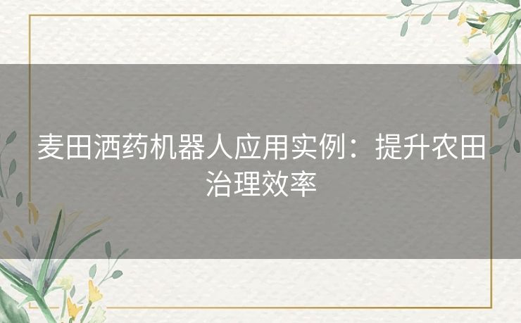 麦田洒药机器人应用实例：提升农田治理效率