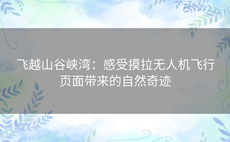 飞越山谷峡湾：感受摸拉无人机飞行页面带来的自然奇迹