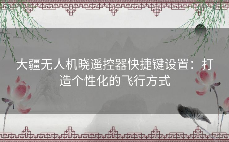 大疆无人机晓遥控器快捷键设置：打造个性化的飞行方式