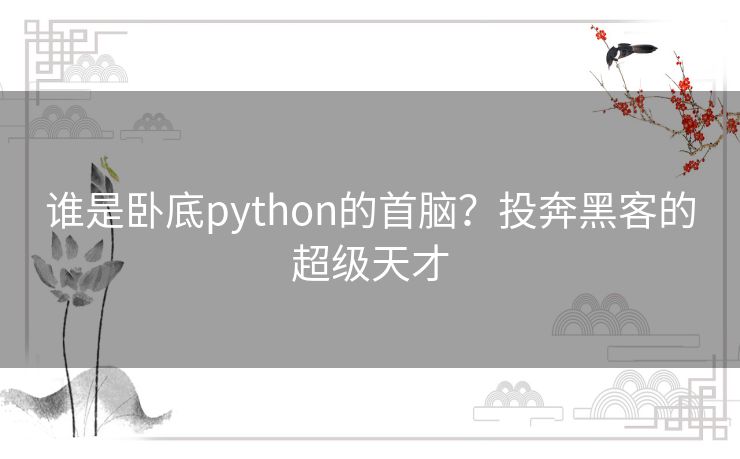 谁是卧底python的首脑？投奔黑客的超级天才