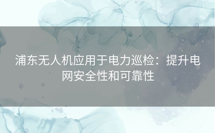 浦东无人机应用于电力巡检：提升电网安全性和可靠性