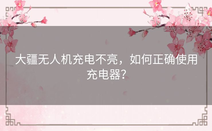 大疆无人机充电不亮，如何正确使用充电器？