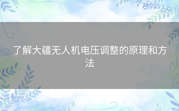 了解大疆无人机电压调整的原理和方法