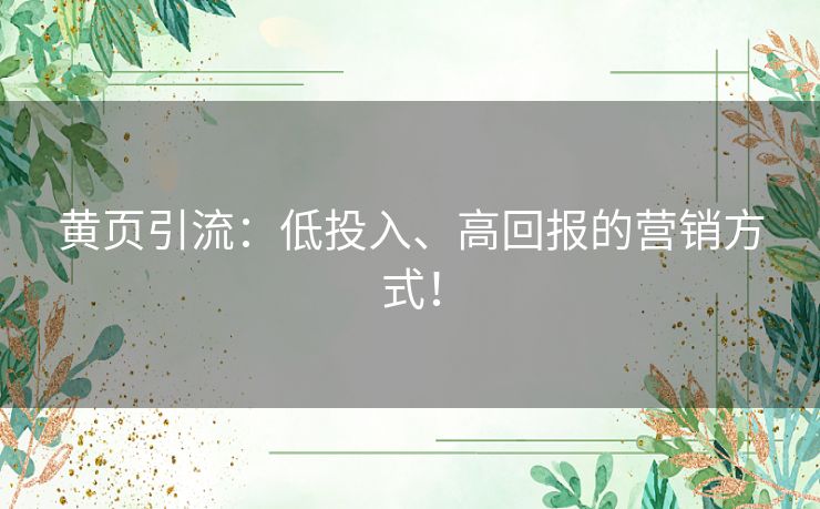 黄页引流：低投入、高回报的营销方式！