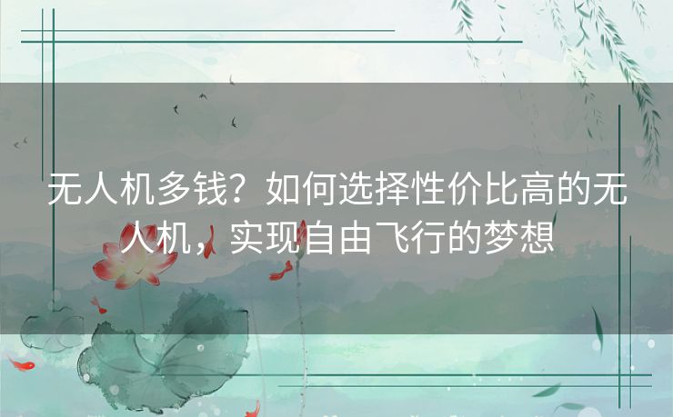 无人机多钱？如何选择性价比高的无人机，实现自由飞行的梦想