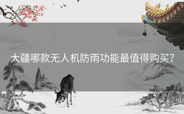 大疆哪款无人机防雨功能最值得购买？