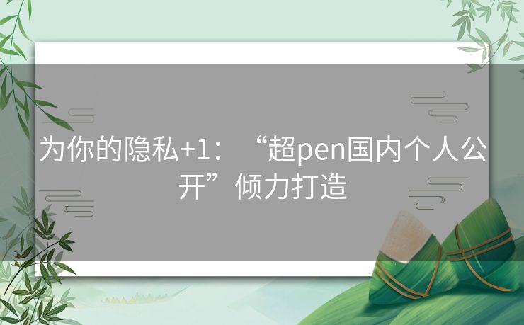 为你的隐私+1：“超pen国内个人公开”倾力打造