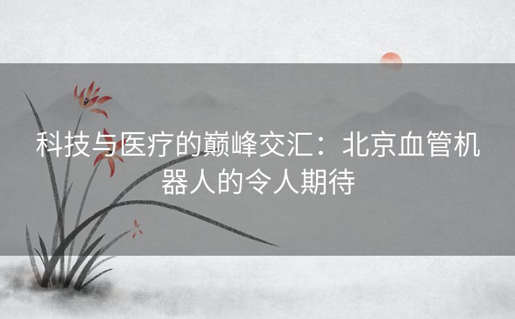 科技与医疗的巅峰交汇：北京血管机器人的令人期待