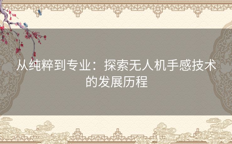 从纯粹到专业：探索无人机手感技术的发展历程