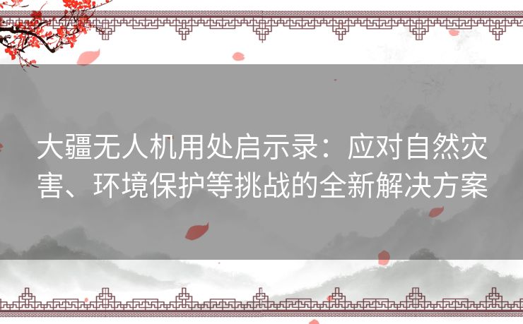 大疆无人机用处启示录：应对自然灾害、环境保护等挑战的全新解决方案