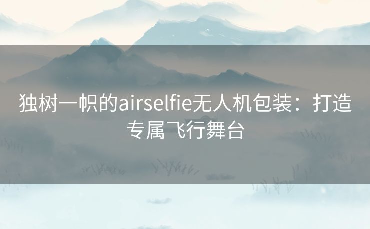 独树一帜的airselfie无人机包装：打造专属飞行舞台