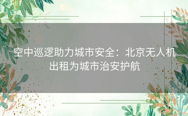 空中巡逻助力城市安全：北京无人机出租为城市治安护航