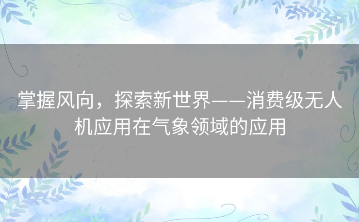 掌握风向，探索新世界——消费级无人机应用在气象领域的应用