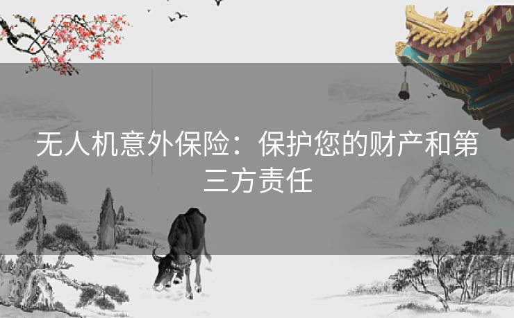 无人机意外保险：保护您的财产和第三方责任