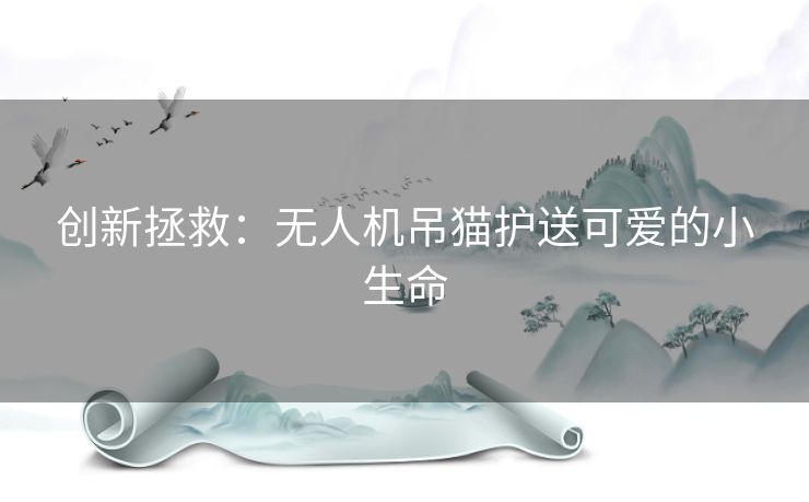 创新拯救：无人机吊猫护送可爱的小生命