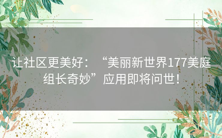 让社区更美好：“美丽新世界177美庭组长奇妙”应用即将问世！